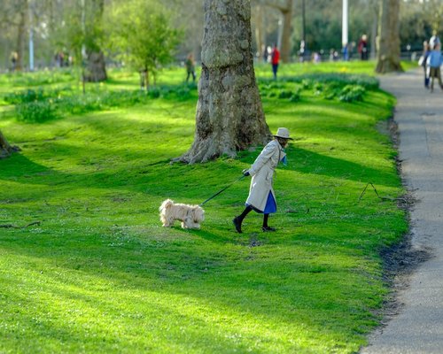 Healthy person walking in a green park environment